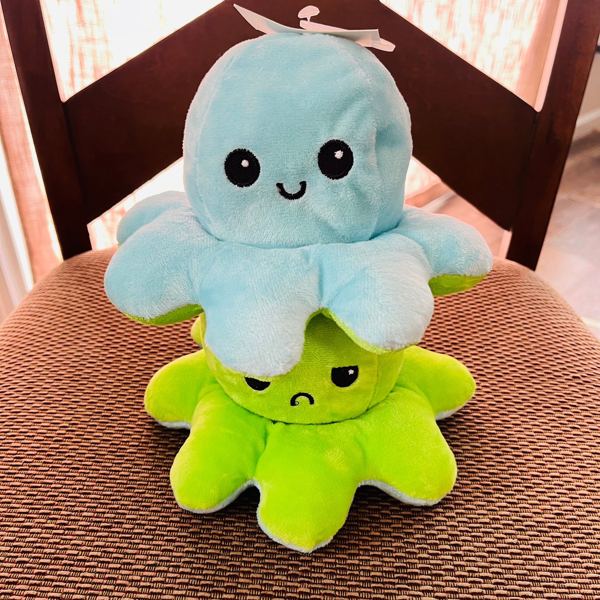 Reversible Mood Ocotopus – M