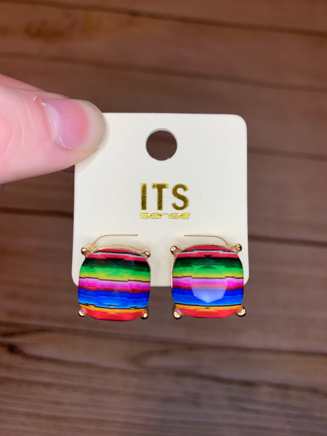 Serape Print Square Earrings